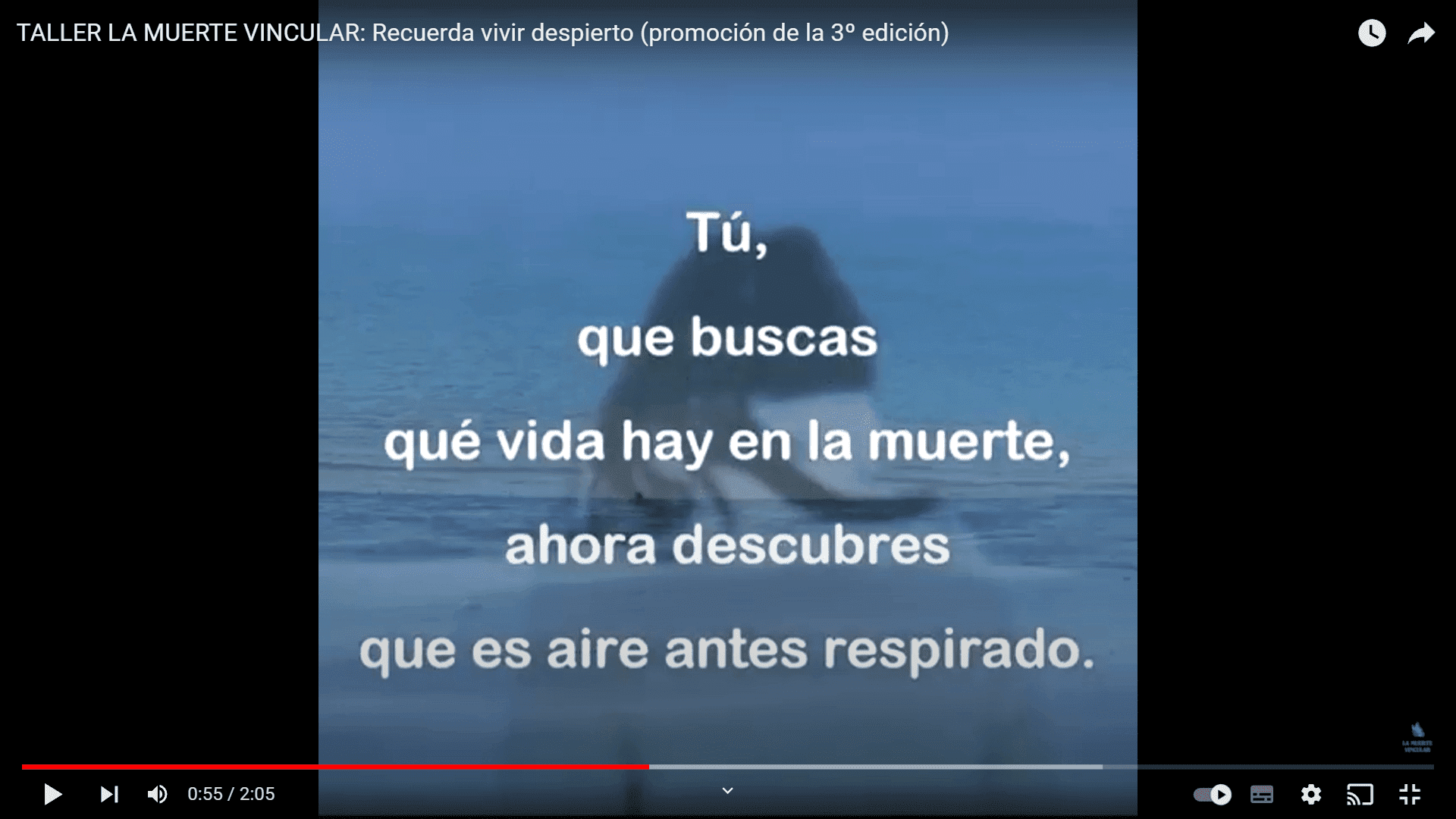 Tú que buscas qué vida hay en la muerte